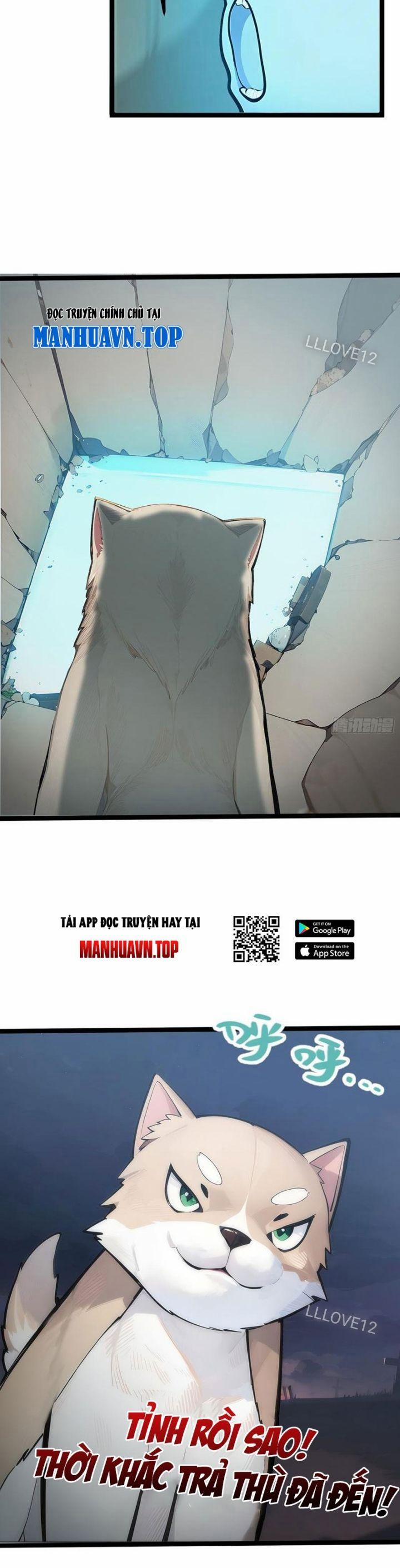 Ngươi Làm Bộ Tu Luyện Đi! 13 trang 11