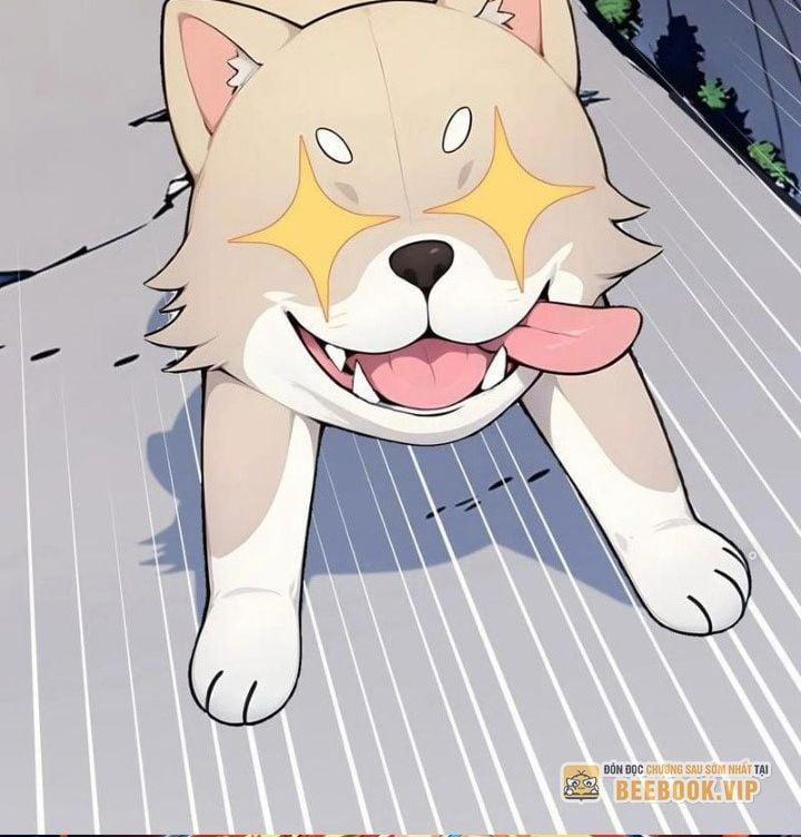 Ngươi Làm Bộ Tu Luyện Đi! 20 trang 13