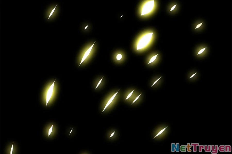 Người Nâng Cấp 49 trang 219