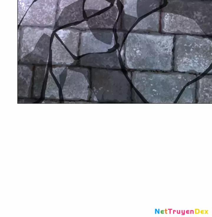 Người Ở Rể Bị Ép Thành Phản Diện 639 trang 19