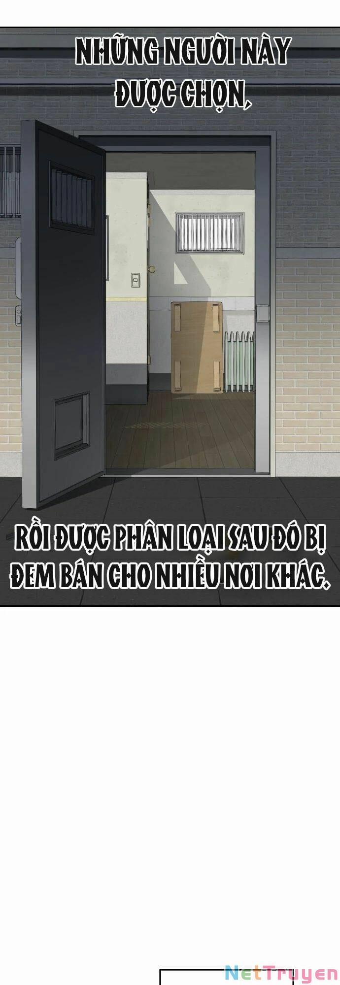 Người Thây Ma 8 trang 55