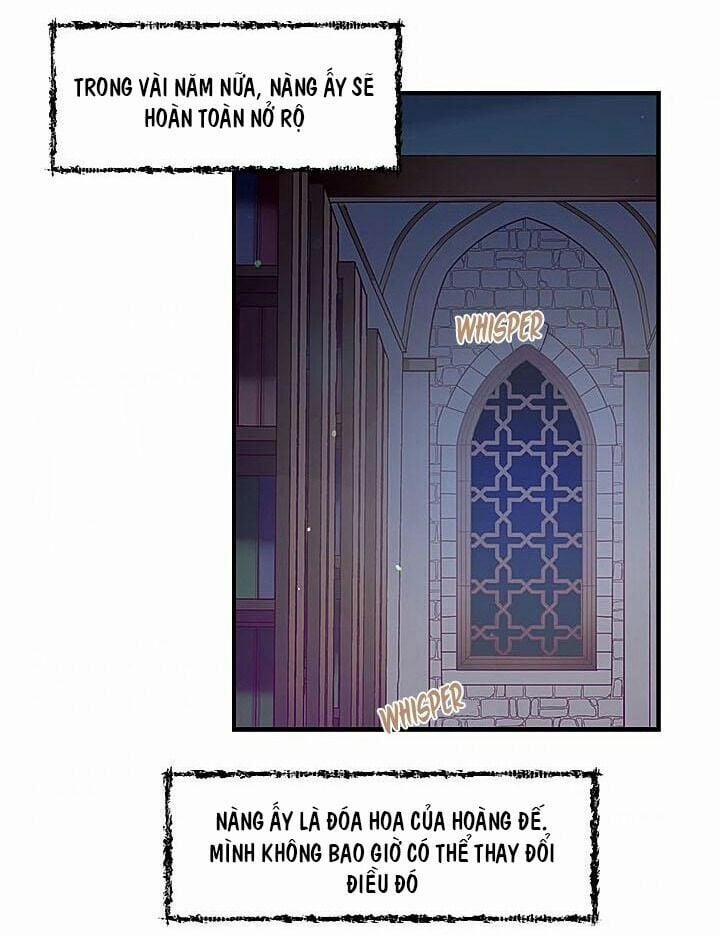 Người Tình Của Hoàng Đế 11 trang 46