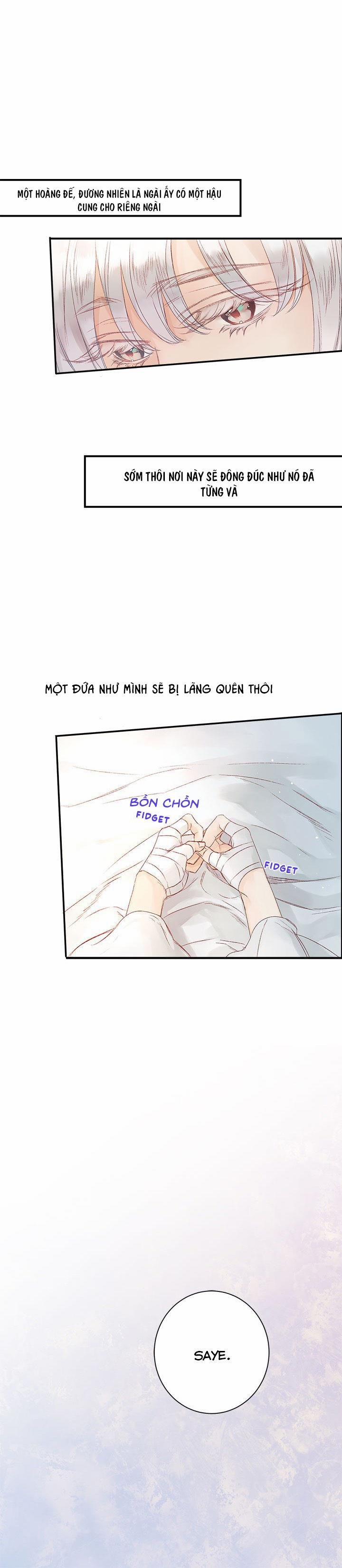 Người Tình Của Hoàng Đế 6 trang 11