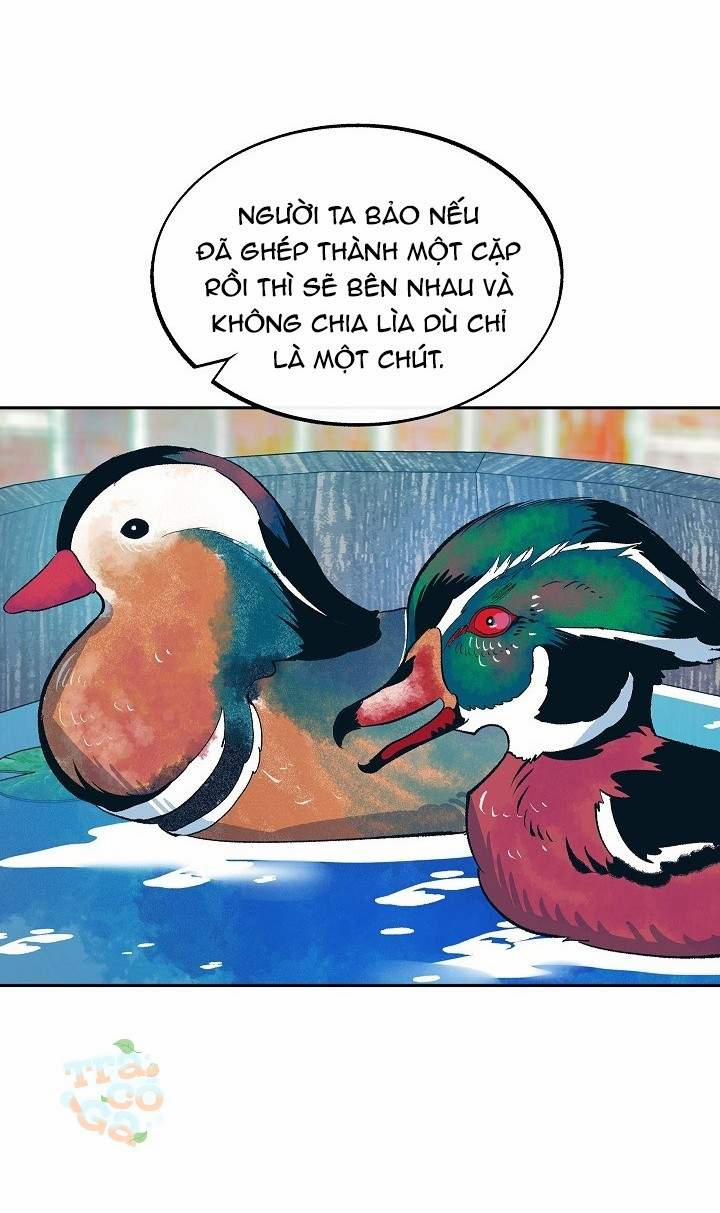 Người Tình Của Sura 14 trang 10