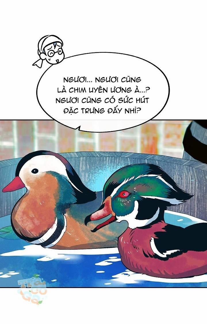 Người Tình Của Sura 14 trang 5