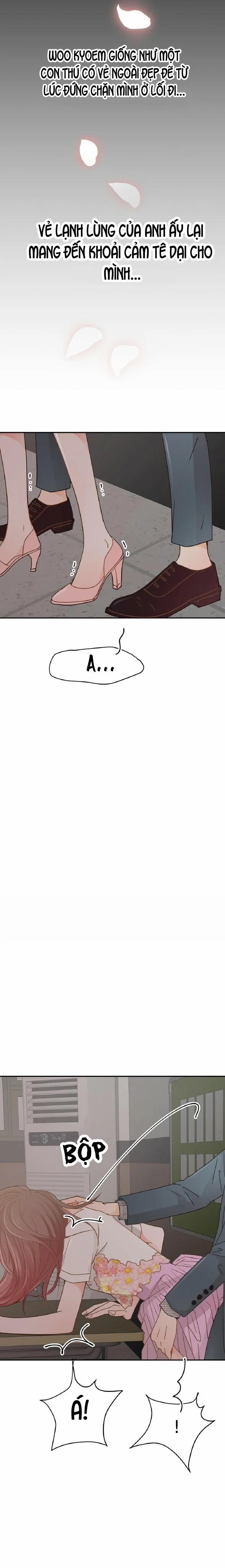 Người Tình Lúc Nửa Đêm 19 trang 6