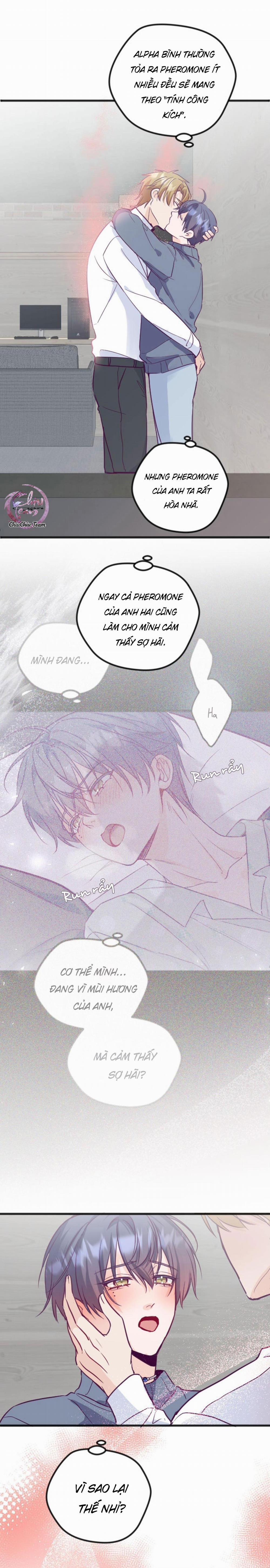 Người Tình Thế Thân Của Alpha 10 trang 1