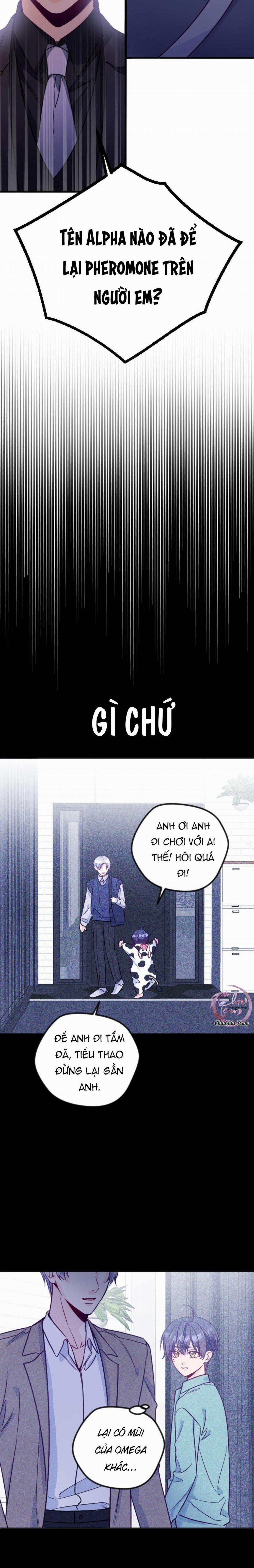 Người Tình Thế Thân Của Alpha 10 trang 16