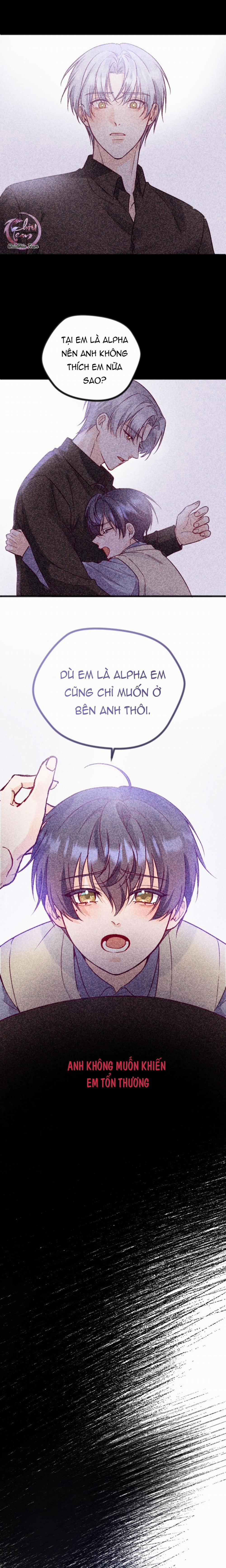 Người Tình Thế Thân Của Alpha 11 trang 4