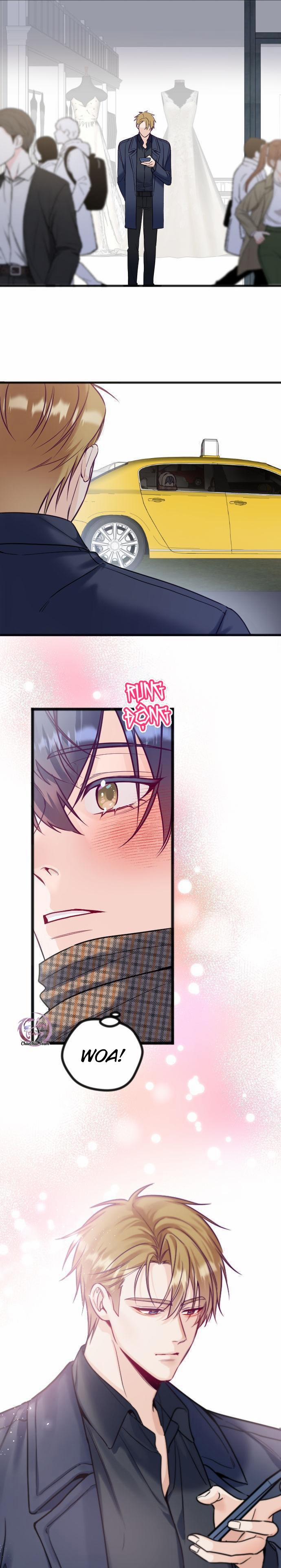 Người Tình Thế Thân Của Alpha 12 trang 21