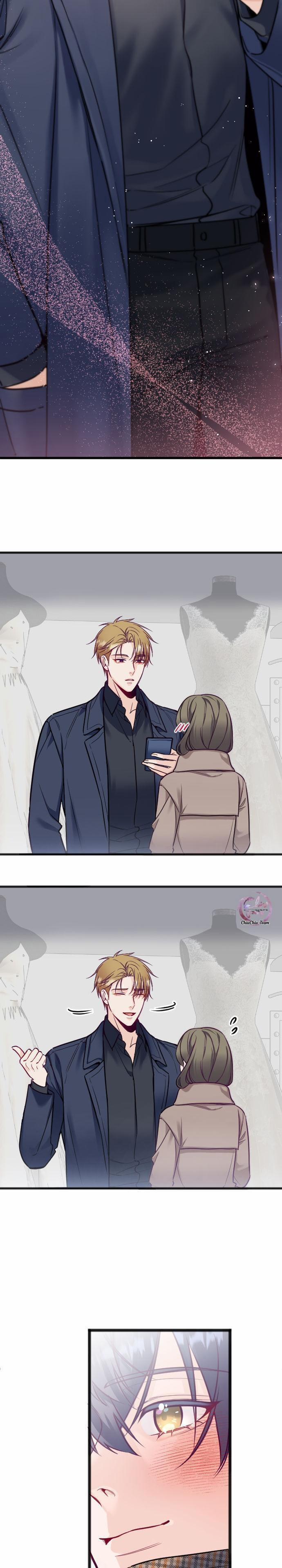 Người Tình Thế Thân Của Alpha 12 trang 22