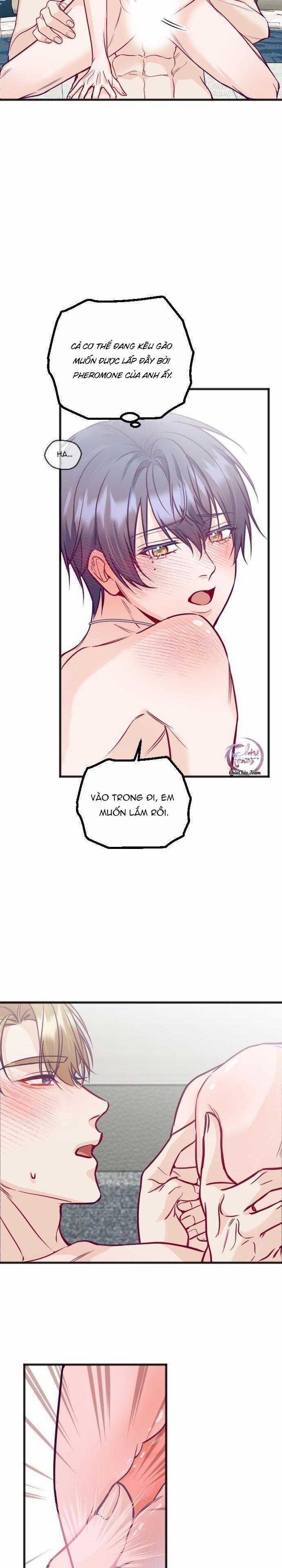 Người Tình Thế Thân Của Alpha 15 trang 21