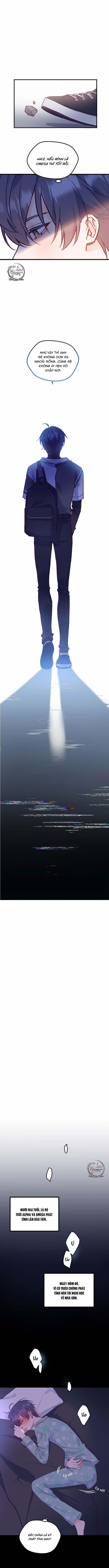 Người Tình Thế Thân Của Alpha 2 trang 6