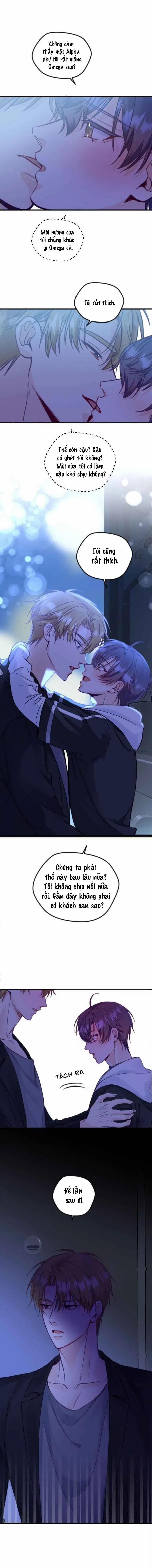 Người Tình Thế Thân Của Alpha 7 trang 5