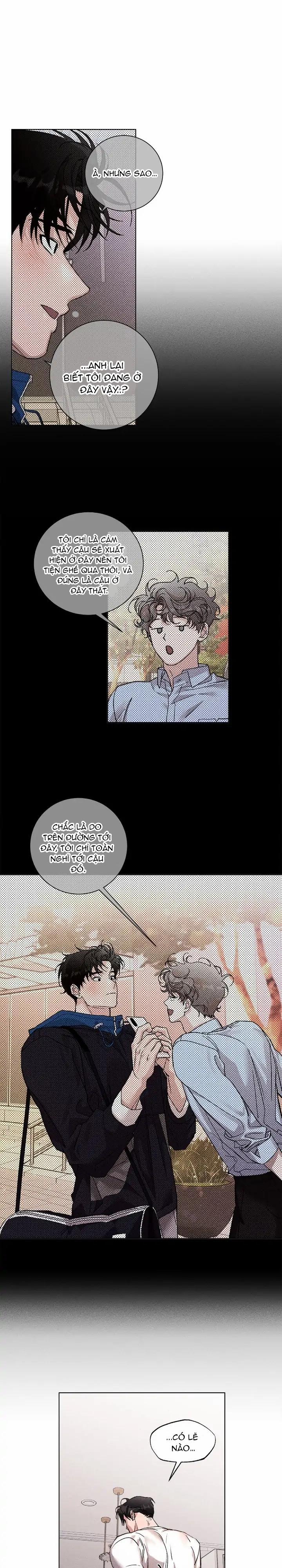 Người Yêu Của Anh Trai Tôi 21 trang 15