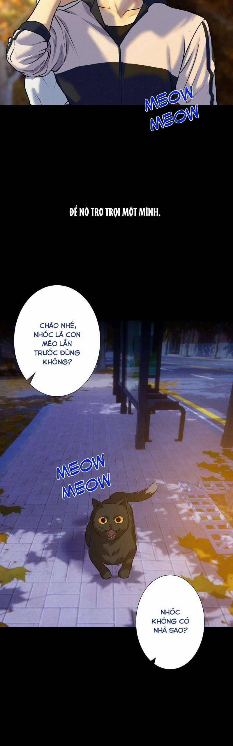 Người Yêu Tôi Là Kẻ Tâm Thần 34 trang 39