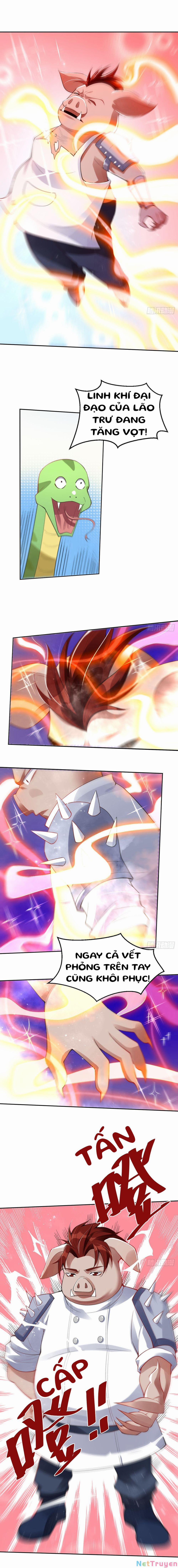 Nguyên Lai Ta Là Tu Tiên Đại Lão 0 Kính mời tiên tổ giáng trần trang 1