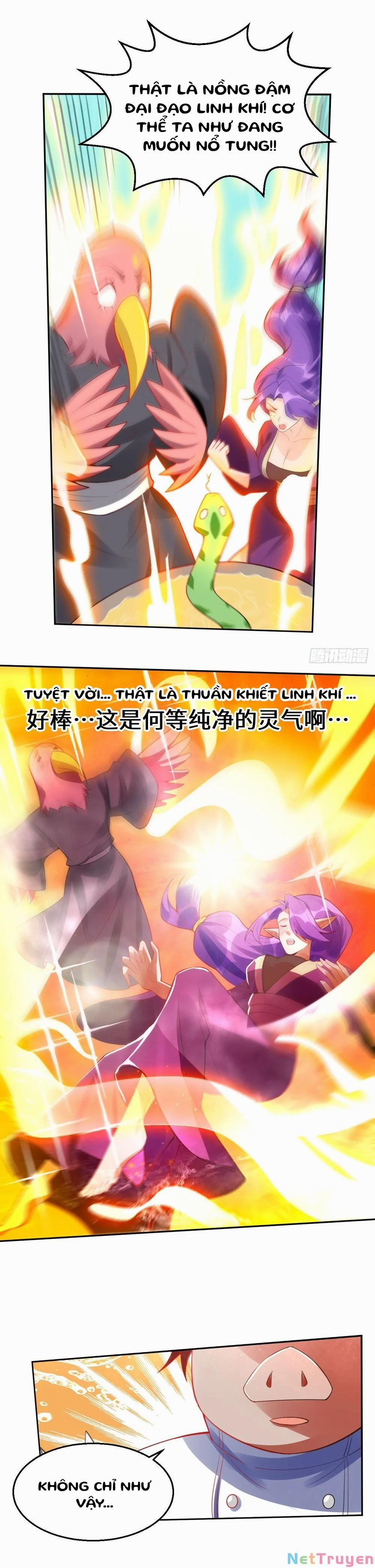 Nguyên Lai Ta Là Tu Tiên Đại Lão 0 Kính mời tiên tổ giáng trần trang 3