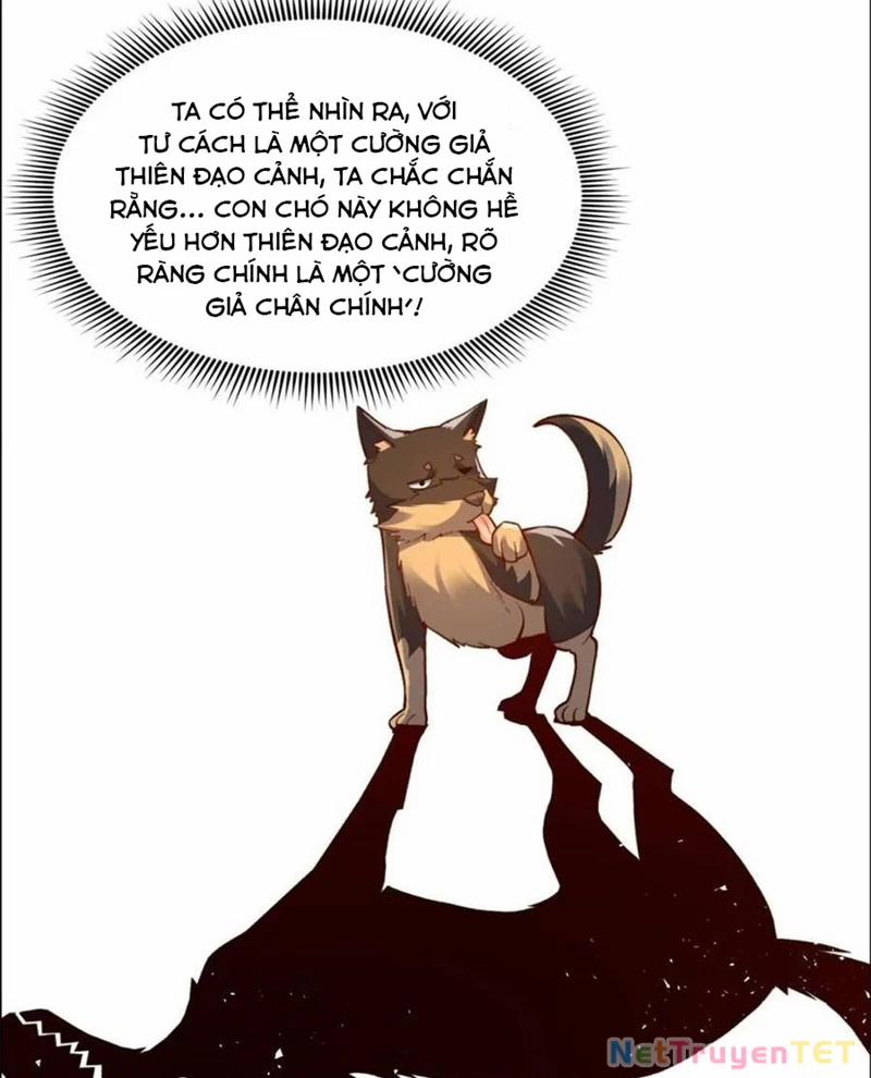 Nguyên Lai Ta Là Tu Tiên Đại Lão 526 trang 7