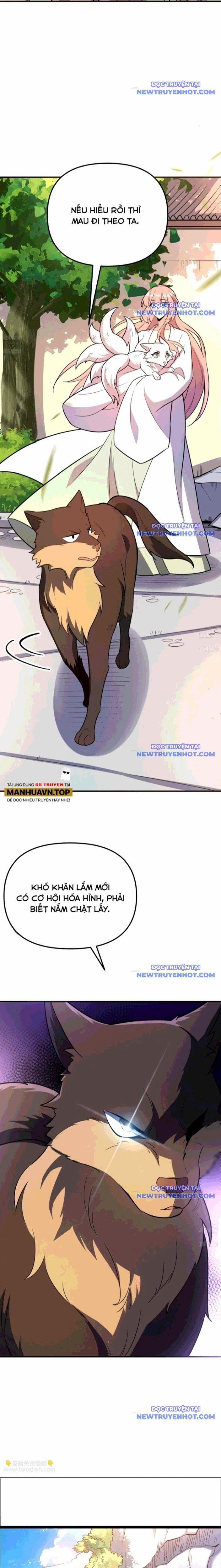 Nguyên Lai Ta Là Tu Tiên Đại Lão 542 trang 1