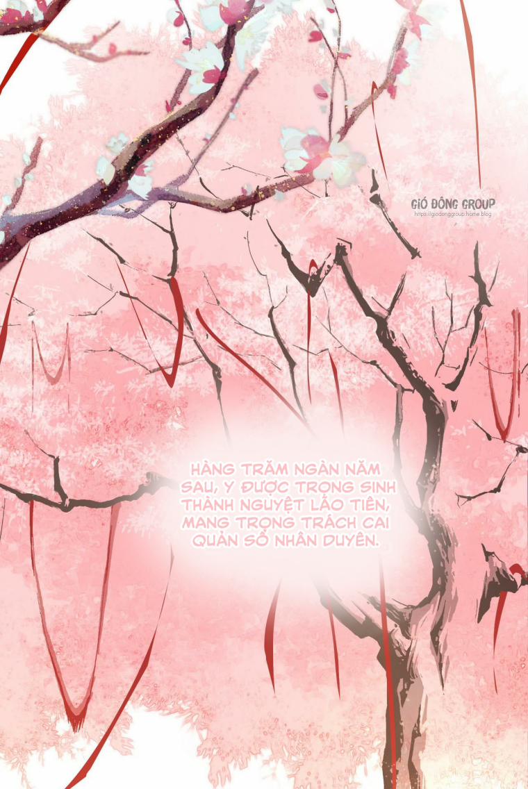 Nguyệt Lão Không Hiểu Tình Yêu 0 trang 16