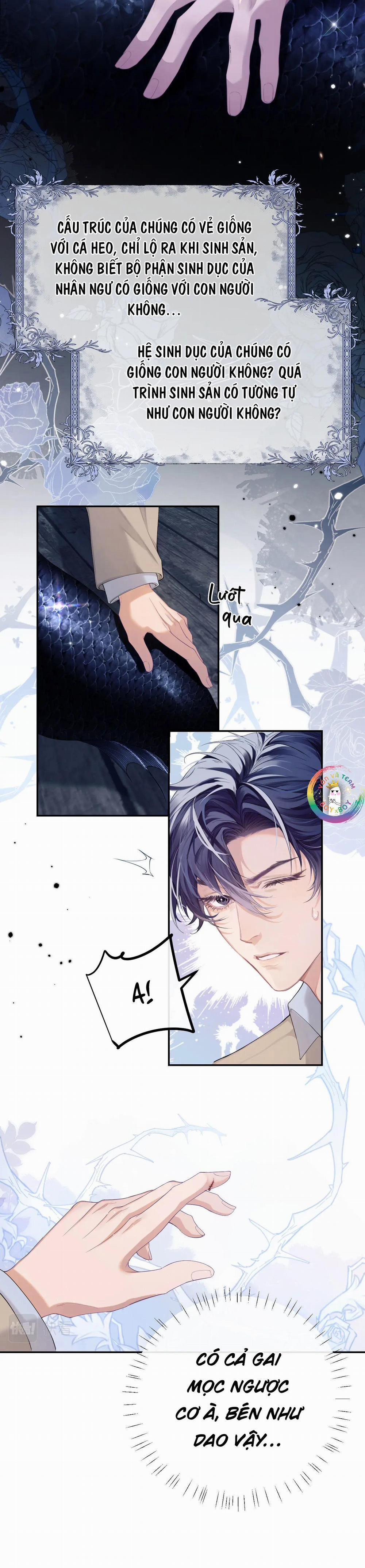 Nhân Ngư Desharow 1 trang 13