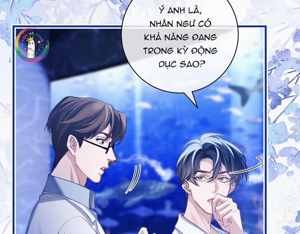 Nhân Ngư Desharow 10 trang 17