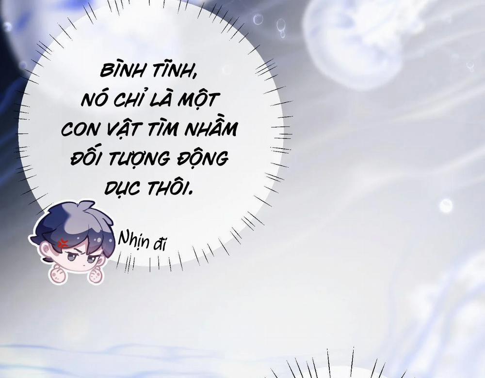 Nhân Ngư Desharow 10 trang 30