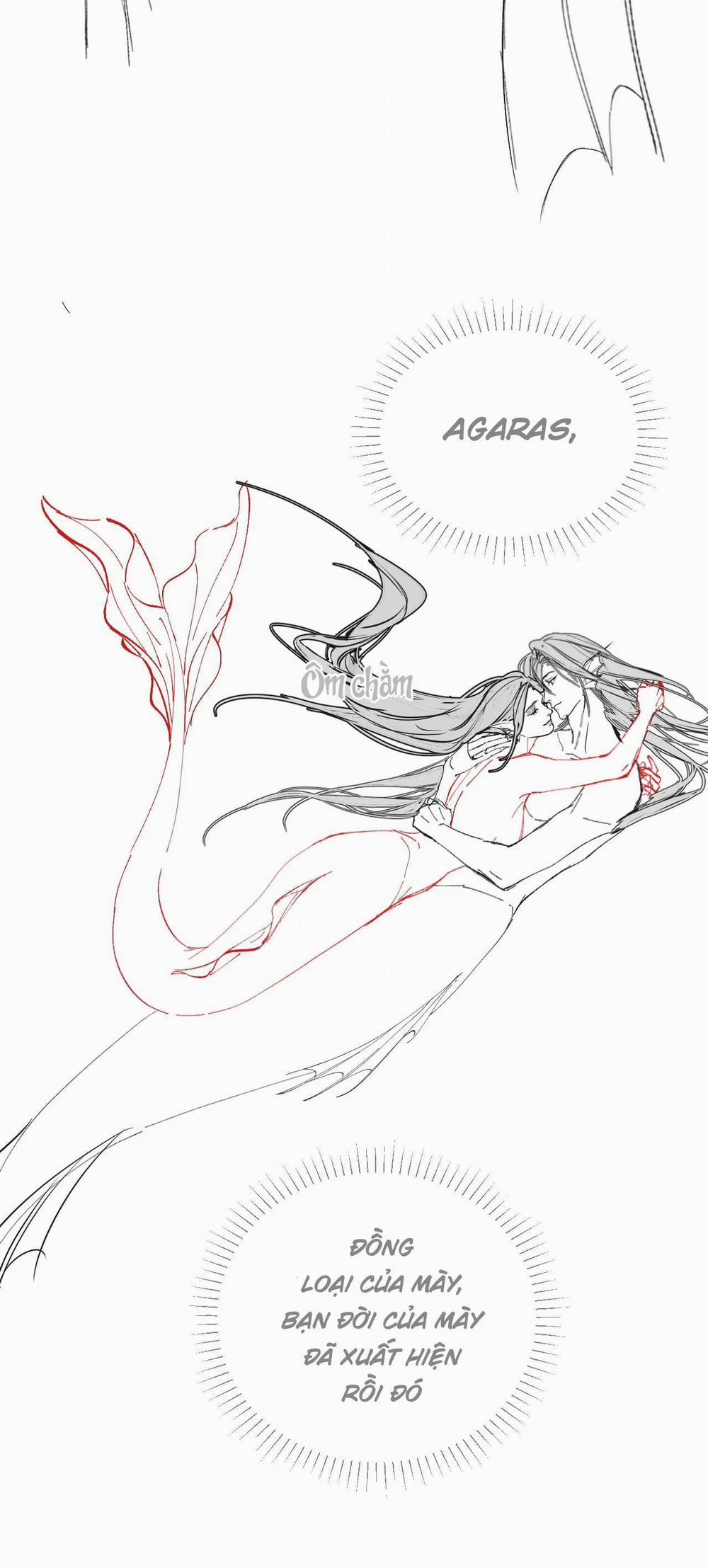 Nhân Ngư Desharow 11 trang 19