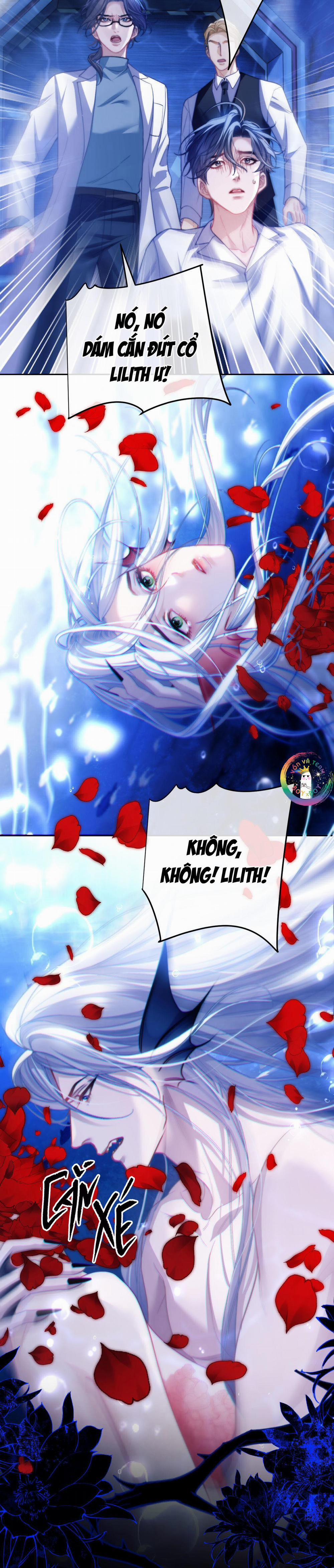 Nhân Ngư Desharow 12 trang 10