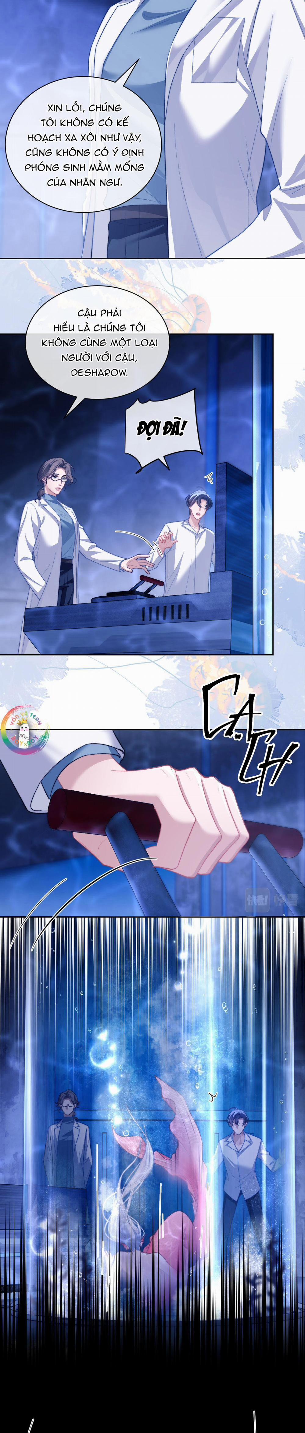 Nhân Ngư Desharow 12 trang 5
