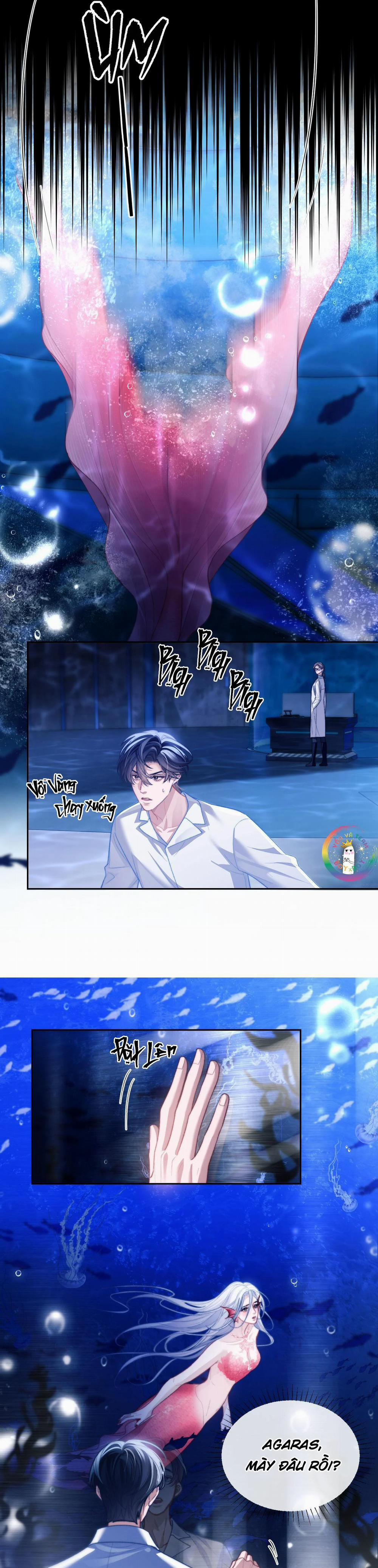 Nhân Ngư Desharow 12 trang 6