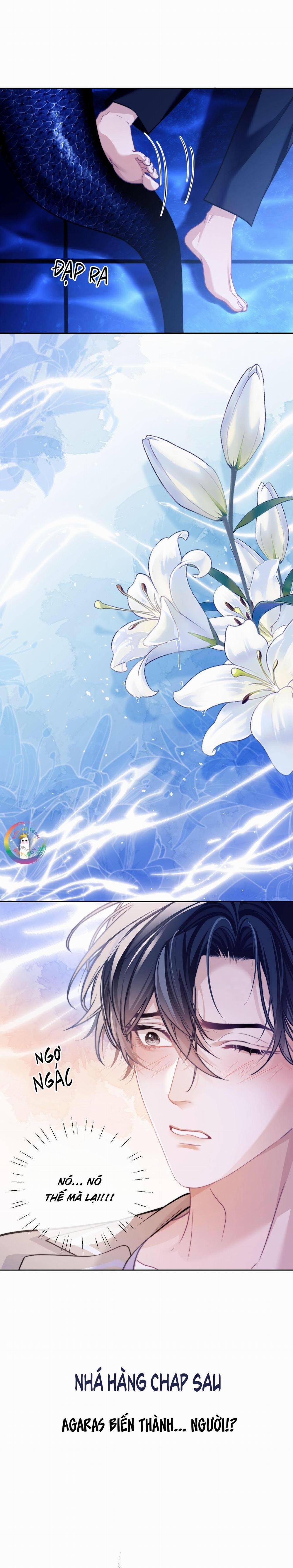 Nhân Ngư Desharow 17 trang 11