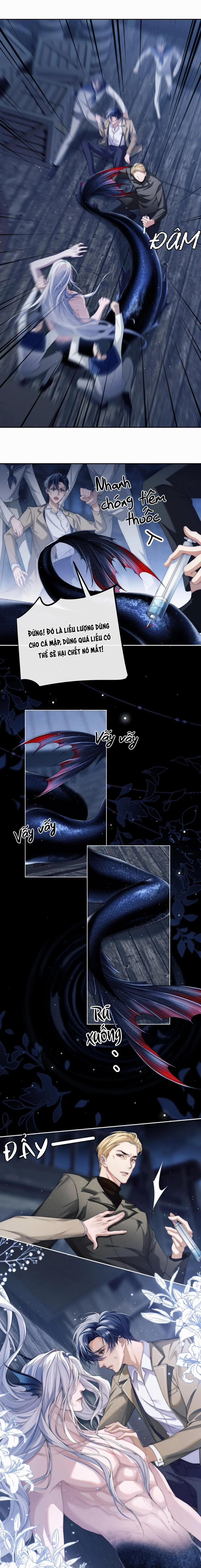 Nhân Ngư Desharow 2 trang 3