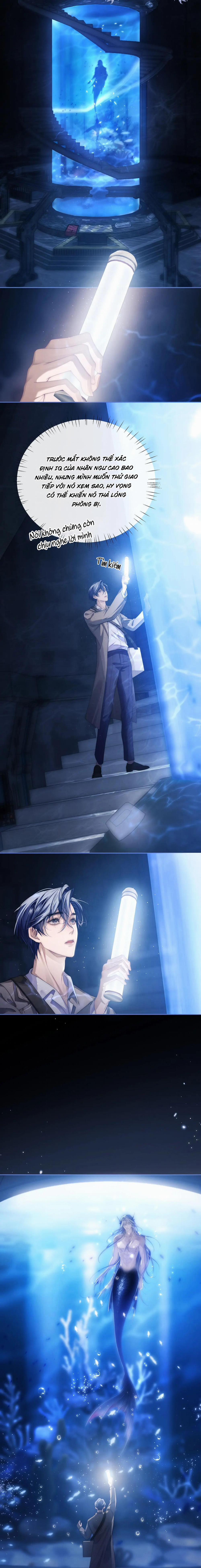 Nhân Ngư Desharow 2 trang 7