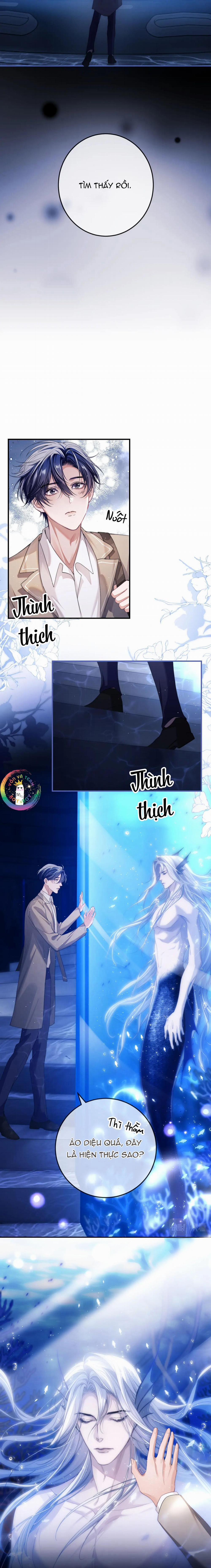 Nhân Ngư Desharow 2 trang 8