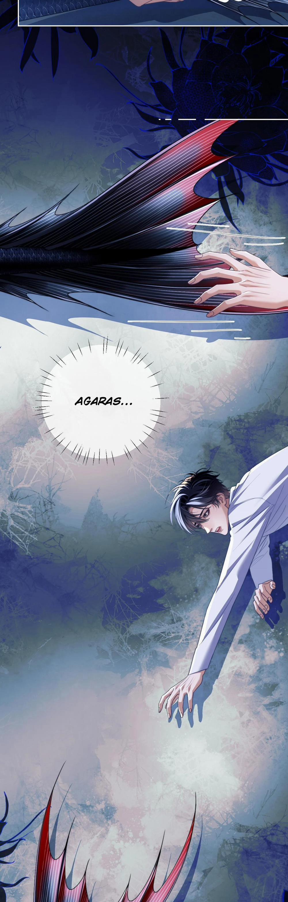 Nhân Ngư Desharow 25 trang 12