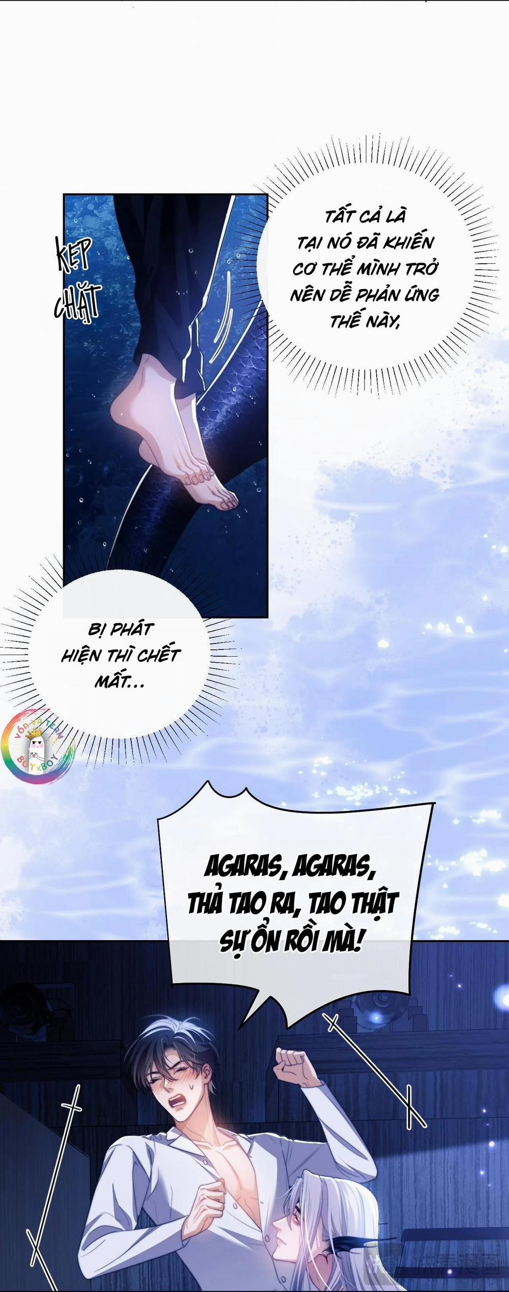 Nhân Ngư Desharow 26 trang 13