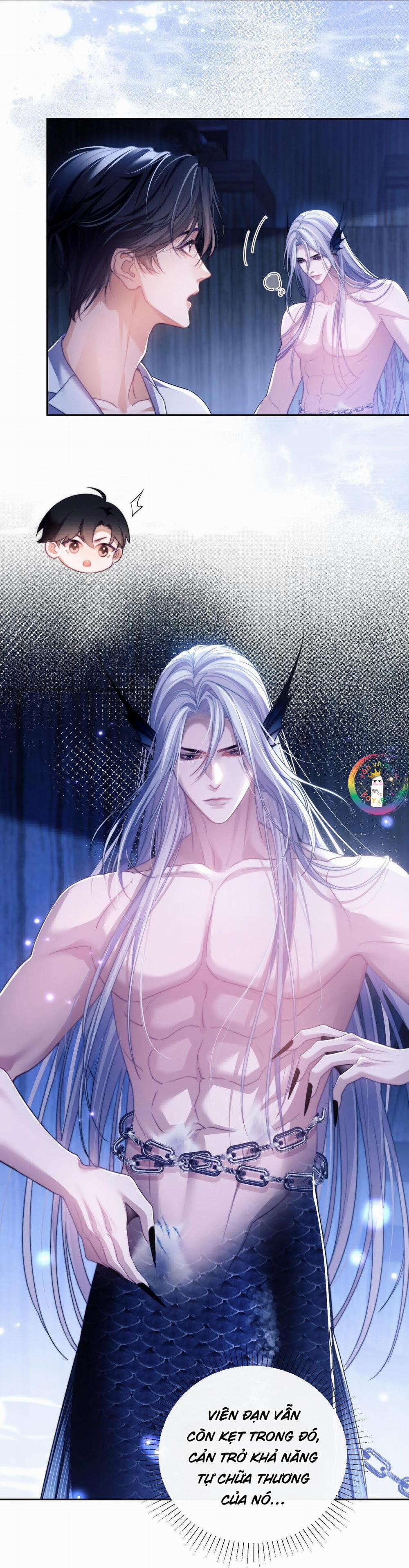 Nhân Ngư Desharow 26 trang 15