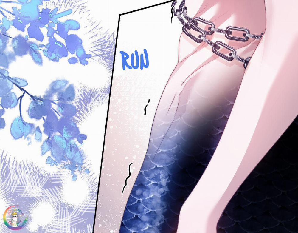 Nhân Ngư Desharow 27 trang 14