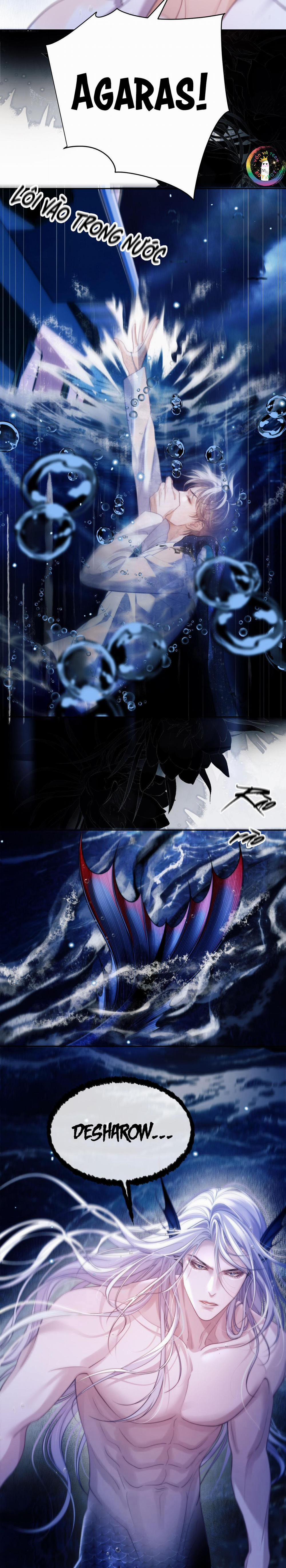 Nhân Ngư Desharow 32 trang 12