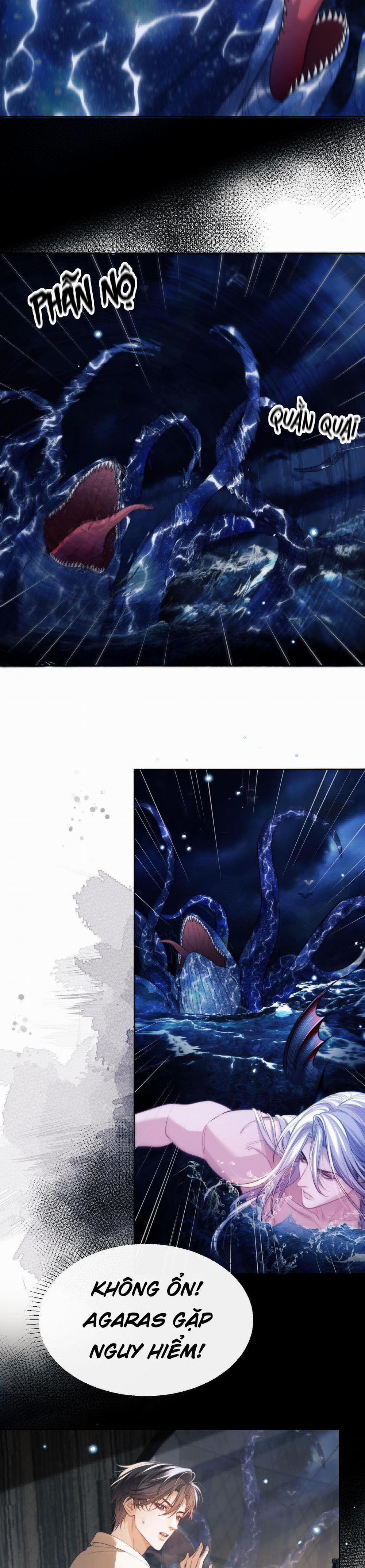 Nhân Ngư Desharow 32 trang 4