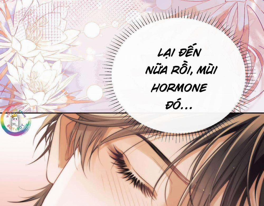 Nhân Ngư Desharow 36 trang 4