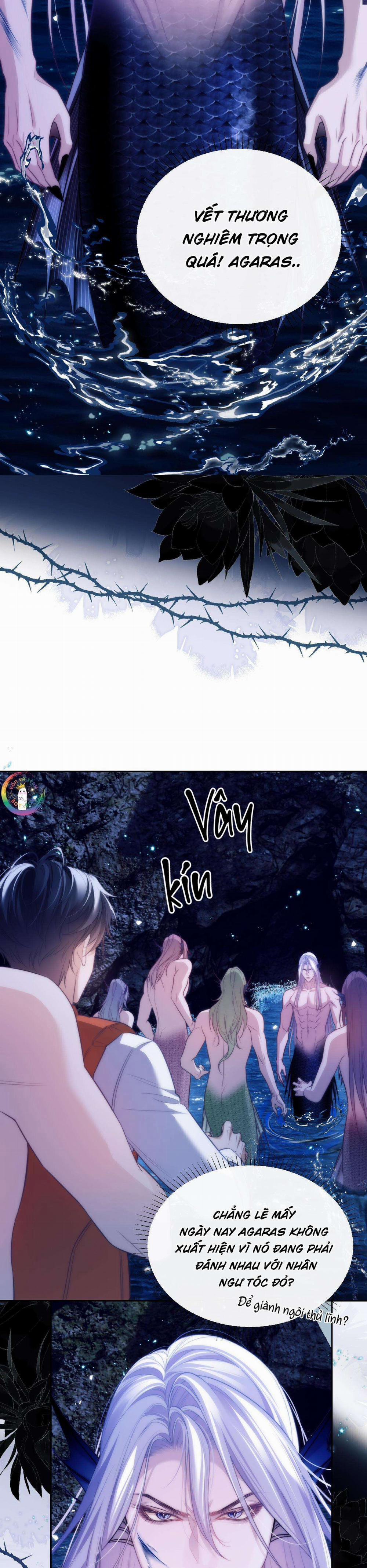 Nhân Ngư Desharow 41 trang 12