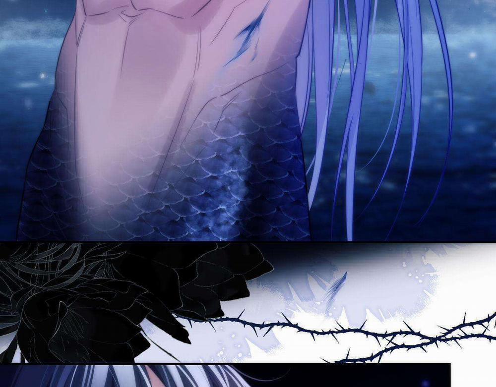 Nhân Ngư Desharow 42 trang 24