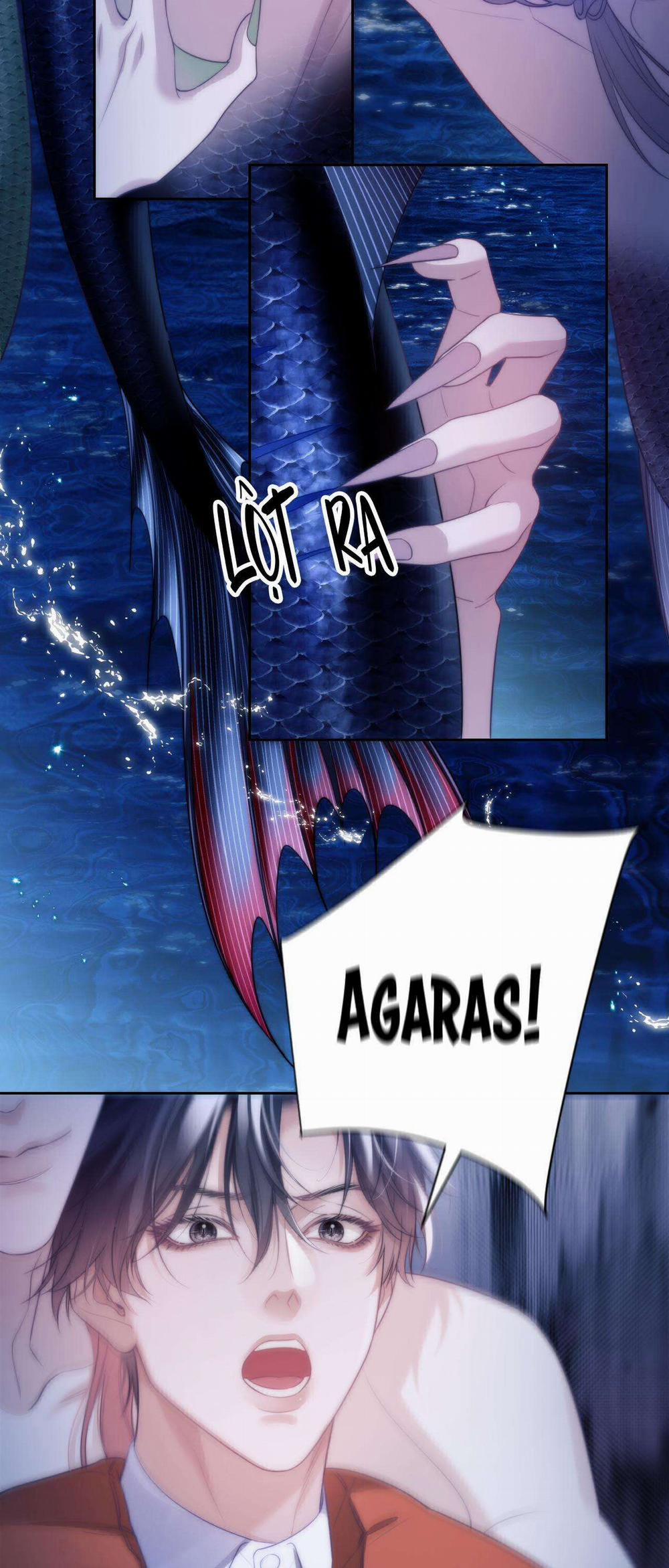 Nhân Ngư Desharow 42 trang 31