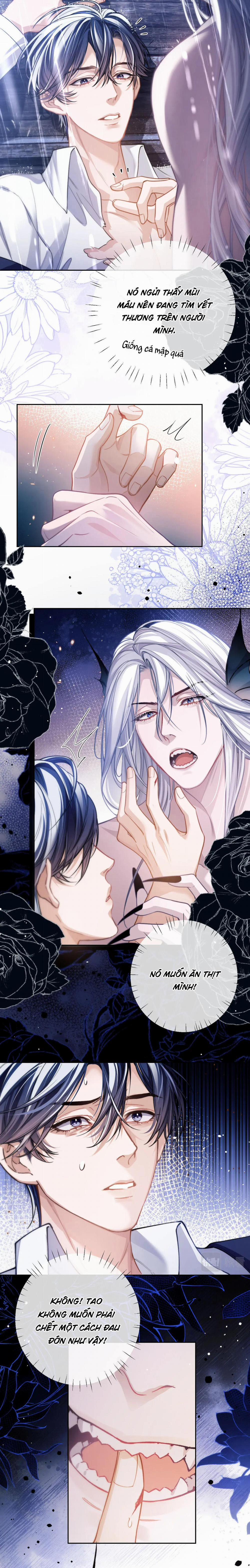 Nhân Ngư Desharow 7 trang 2