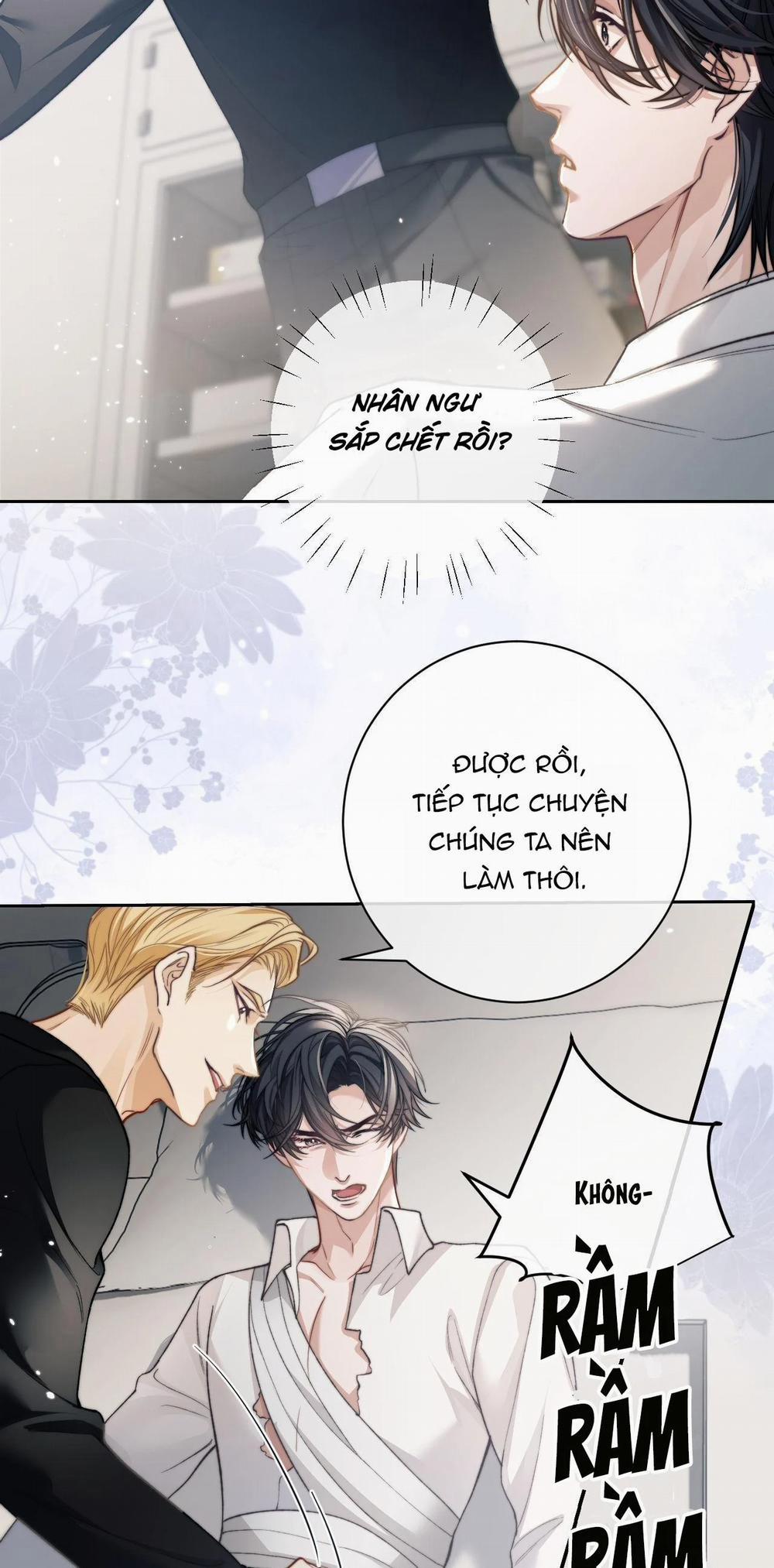 Nhân Ngư Desharow 8 trang 24