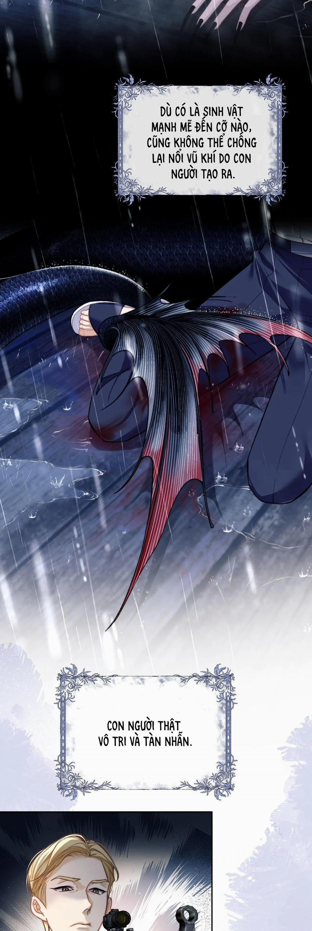 Nhân Ngư Desharow 8 trang 6