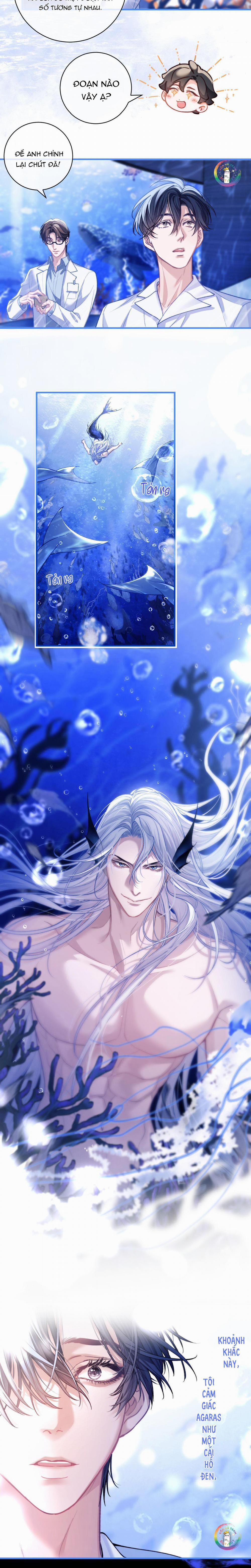 Nhân Ngư Desharow 9 trang 10